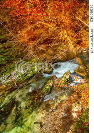 Vintgar gorge, Slovenia 85606056