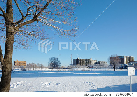 小野原公園的雪景 冬景 小野原公園的雪景 冬景 85606964