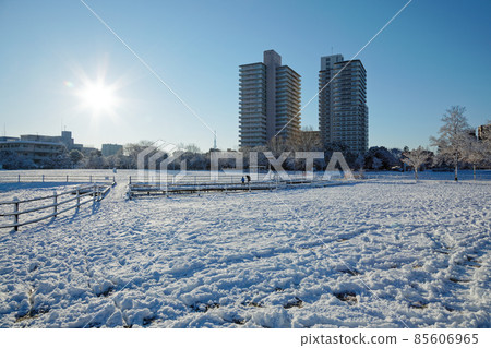 小野原公園的雪景，冬天的風景，發光 85606965