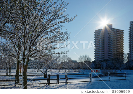 Snow scene of Ogunohara Park, winter scenery, glow Snow scene of Ogunohara Park, winter scenery, glow 85606969