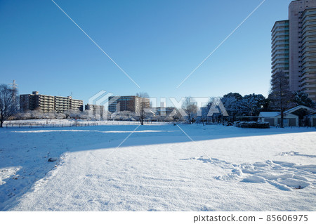 小野原公園的雪景 冬景 小野原公園的雪景 冬景 85606975