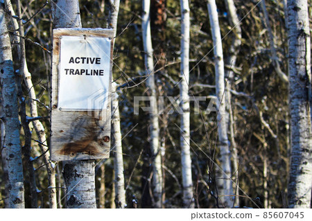 Sign on an Active Trapline in the Woods 85607045
