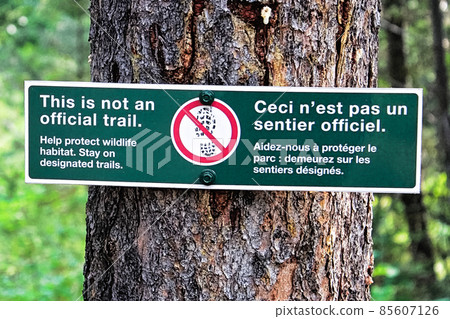 This is not an official trail sign in the forest This is not an official trail sign in the forest 85607126