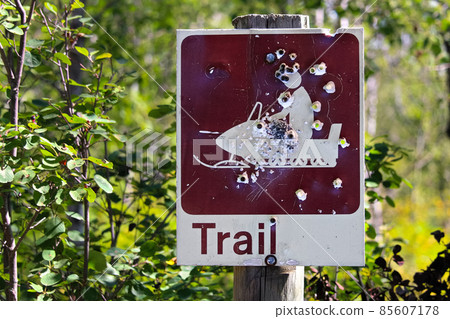 Closeup of a shot up trail sign in summer Closeup of a shot up trail sign in summer 85607178