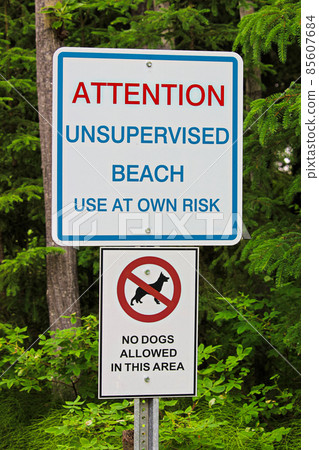 An attention unsupervised beach with no dogs allowed sign 85607684