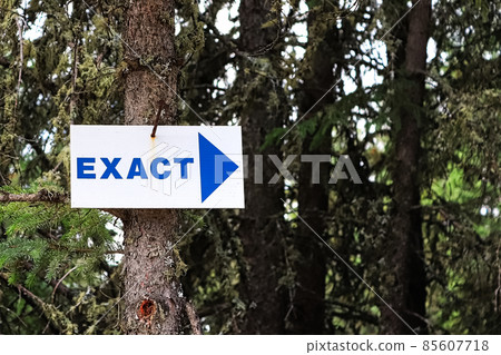 A blue Exact sign with a arrow pointing right 85607718
