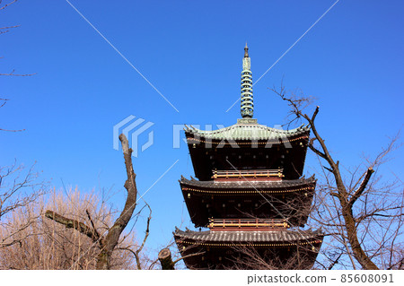 Former Kaneiji Five-storied Pagoda that shines in the clear blue sky Former Kaneiji Five-storied Pagoda that shines in the clear blue sky 85608091