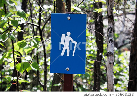 A blue hiking trail marker on a tree A blue hiking trail marker on a tree 85608128