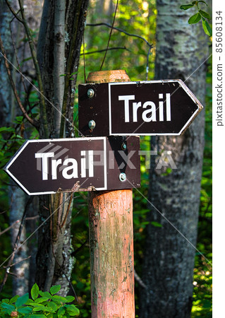 A hiking trail direction sign in the forest 85608134