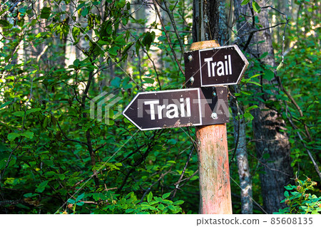 A hiking trail direction sign in the forest A hiking trail direction sign in the forest 85608135