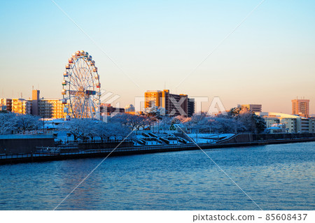 從台橋俯瞰荒川遊樂園的新摩天輪,日出和雪景 從台橋俯瞰荒川遊樂園的新摩天輪,日出和雪景 85608437
