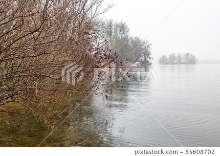 The nature of the river and bush in the cold season. The nature of the river and bush in the cold season. 85608702
