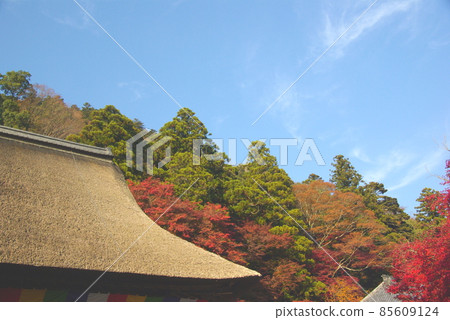 Eikenji秋葉 Eikenji秋葉 85609124