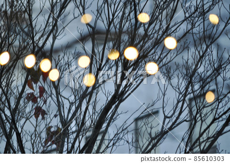 Illuminations of Futakotamagawa, photo of Tamagawa. 85610303