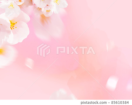 櫻花的圖像般的背景 櫻花的圖像般的背景 85610384