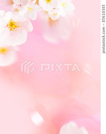 Image-like background of cherry blossoms Image-like background of cherry blossoms 85610385