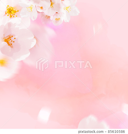 Image-like background of cherry blossoms Image-like background of cherry blossoms 85610386