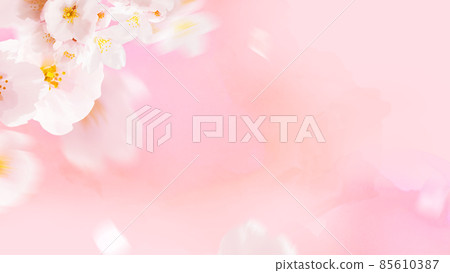 櫻花的圖像般的背景 櫻花的圖像般的背景 85610387