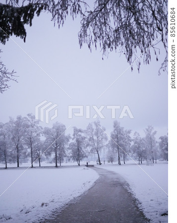 countryside winter road in forest countryside winter road in forest 85610684