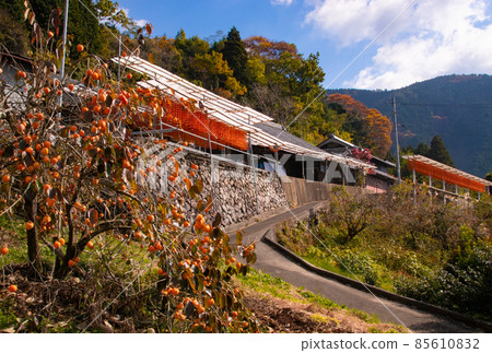 和歌山縣伊東區葛城町 東谷區志鄉 85610832