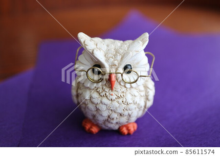 Old owl Old owl 85611574