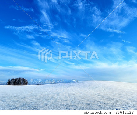 美瑛鎮,一座小山,是一片廣闊的雪原。 美瑛鎮,一座小山,是一片廣闊的雪原。 85612128