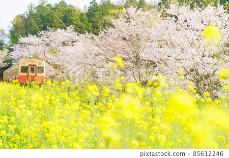 Kominato Railroad Spring 85612246