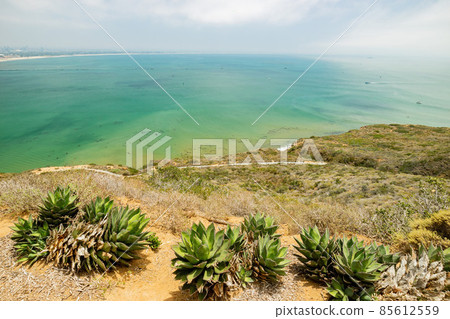 Overcast view of the nature landscape of Cabrillo National Monument 85612559