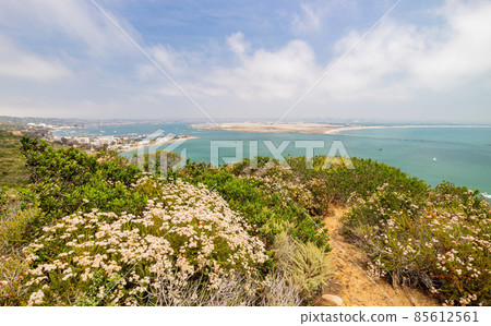 Sunnt view of the downtown cityscape from Cabrillo National Monument 85612561