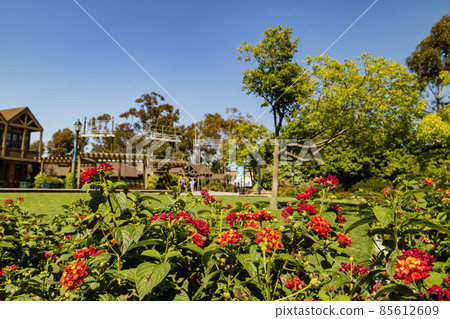 Sunny view of the Balboa Park at San Diego 85612609