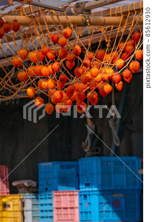 和歌山縣伊東區葛城鎮 志後柿子乾 秋景 85612930