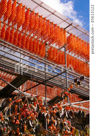 Scenery of dried persimmon, Shigo, Katsuragi-cho, Ito-gun, Wakayama Prefecture (Taira district) 85613122
