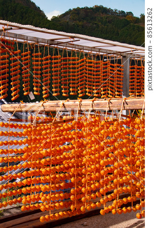 Scenery of dried persimmons in Shigo (Taira district), Katsuragi-cho, Ito-gun, Wakayama Prefecture 85613262