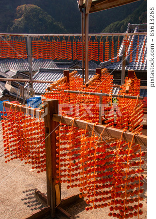 Scenery of dried persimmons in Shigo (Taira district), Katsuragi-cho, Ito-gun, Wakayama Prefecture 85613268