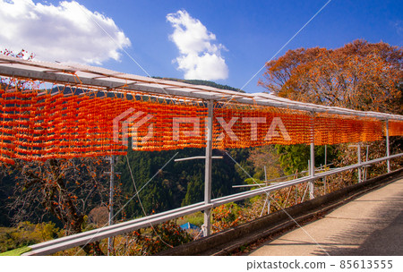 Dried persimmon scenery, Katsuragi-cho, Ito-gun, Wakayama Prefecture, Shigo (Taira district) 85613555