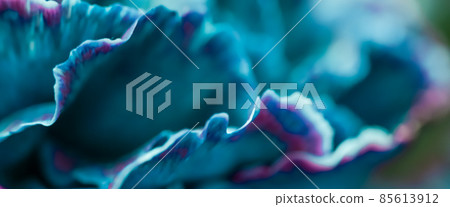 Retro art, vintage card and botanical concept - Abstract floral background, blue carnation flower. Macro flowers backdrop for holiday brand design 85613912