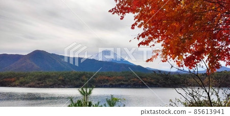 Mt. Fuji, lake and autumn leaves Mt. Fuji, lake and autumn leaves 85613941