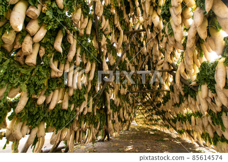 Sun-dried radish, Gobo City, Wakayama Prefecture, Taru no Aji Headquarters Distribution Center 85614574