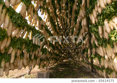 Sun-dried radish, Gobo City, Wakayama Prefecture, Taru no Aji Headquarters Distribution Center 85614575