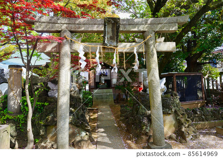 水神社(千葉縣松戶市松戶神社) 水神社(千葉縣松戶市松戶神社) 85614969