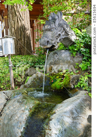 Matsudo Shrine Ryujin-sama and Mikamimizu (Matsudo City, Chiba Prefecture) 85615694