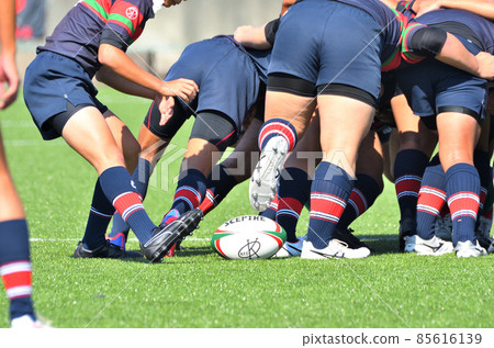 橄欖球 85616139