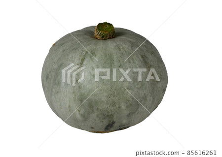 Gray pumpkin Gray pumpkin 85616261