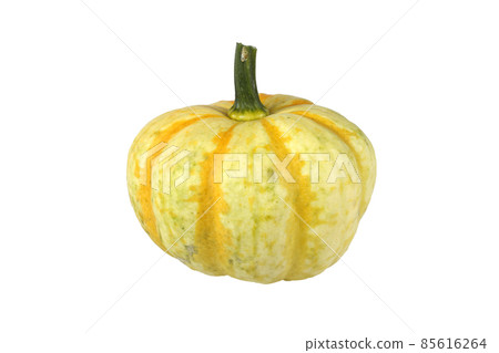 Little pumpkin Little pumpkin 85616264