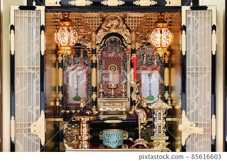 信州大谷學校(東本願寺)金佛壇拍攝2 信州大谷學校(東本願寺)金佛壇拍攝2 85616603