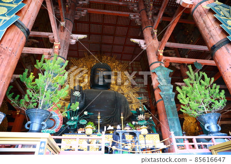 奈良的佛 85616647