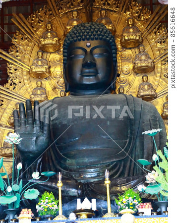 Buddha of Nara 85616648