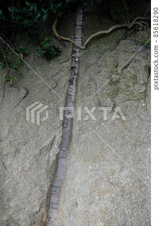 Dike about 10 cm wide Dike about 10 cm wide 85618290