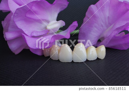 花——潔牙 花——潔牙 85618511