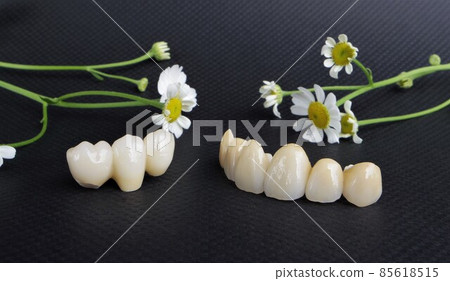 花——潔牙 85618515
